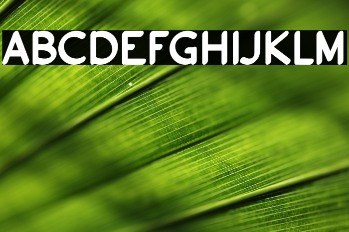 a Anti Corona Example 2