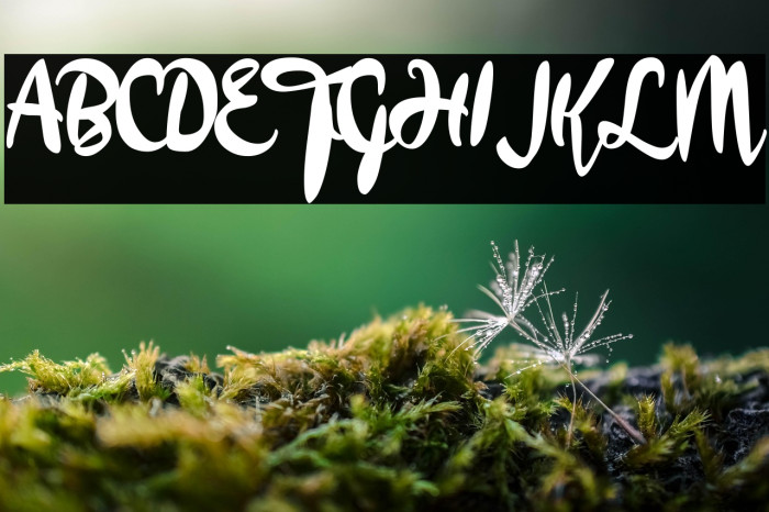 a Apollo in the Sky Example 2