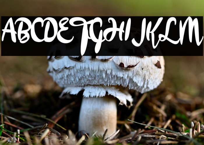 a Apollo in the Sky Example 3