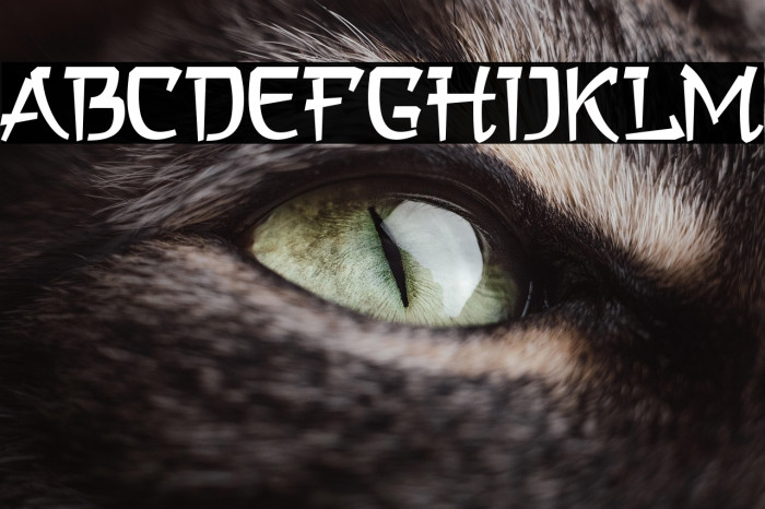 a Asian Hiro Example 2