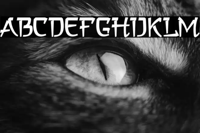 a Asian Hiro Font examples