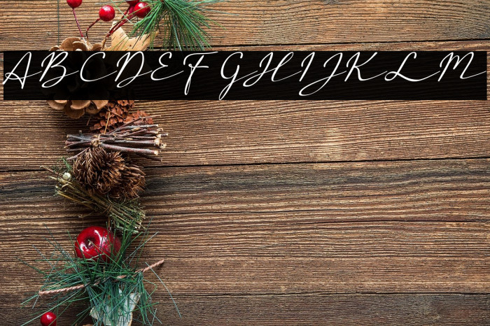 a Auto Signature Example 1