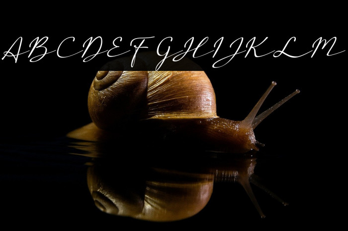 a Auto Signature Example 2