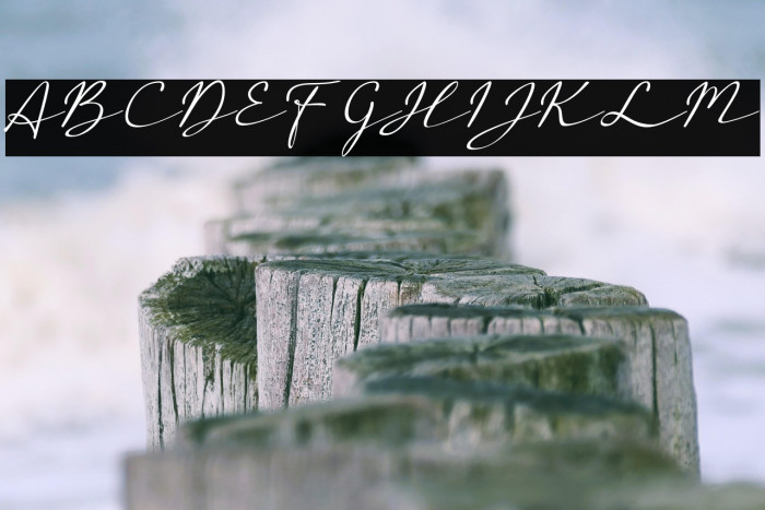 a Auto Signature Example 3