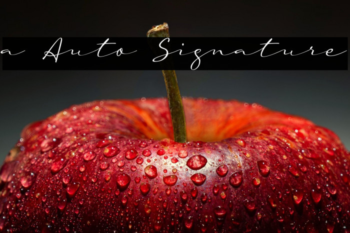a Auto Signature Example 1