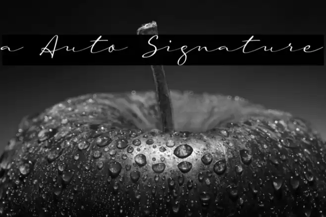 a Auto Signature Font examples