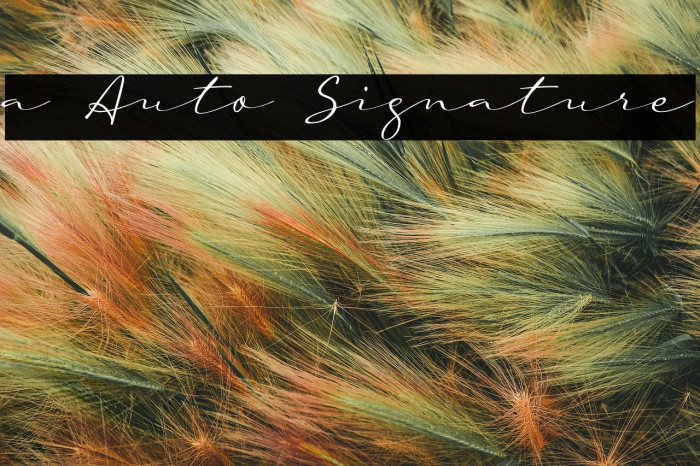 a Auto Signature Example 2