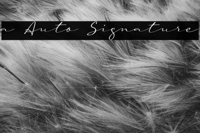 a Auto Signature Font examples