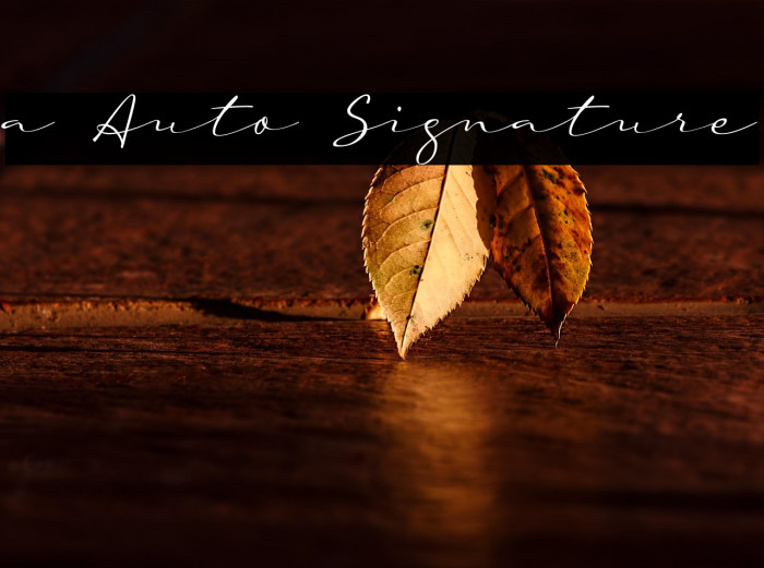 a Auto Signature Example 3