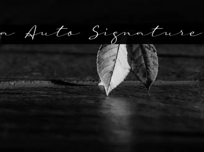 a Auto Signature Font examples