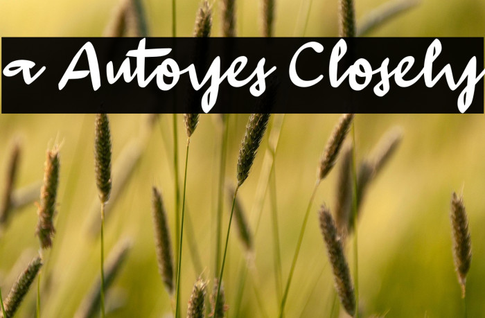 a Autoyes Closely Example 1