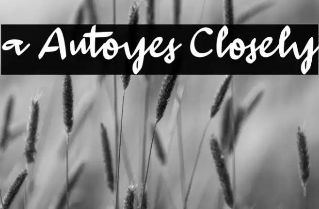 a Autoyes Closely Polices examples