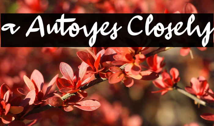 a Autoyes Closely Example 2