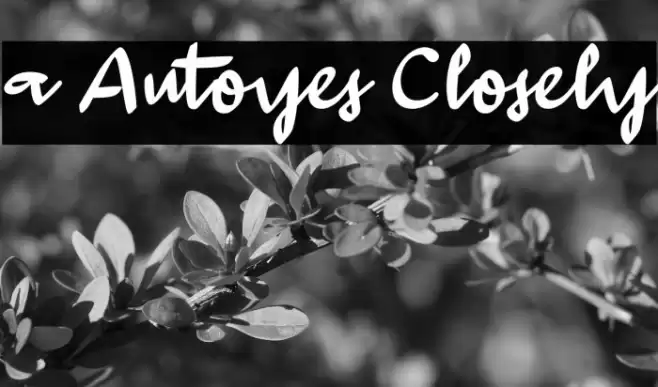 a Autoyes Closely Polices examples