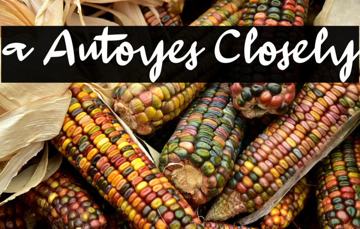 a Autoyes Closely Example 3