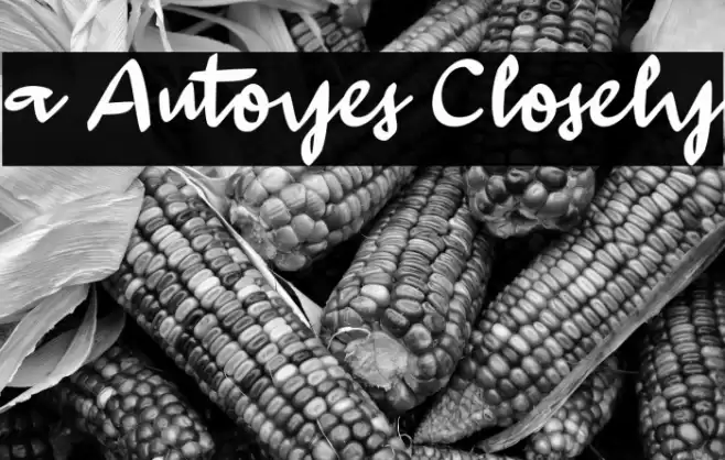 a Autoyes Closely Polices examples