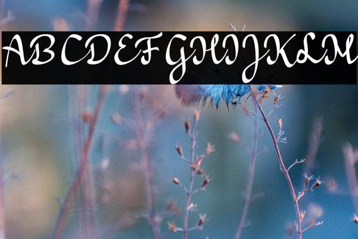 a Bators Growth Example 1