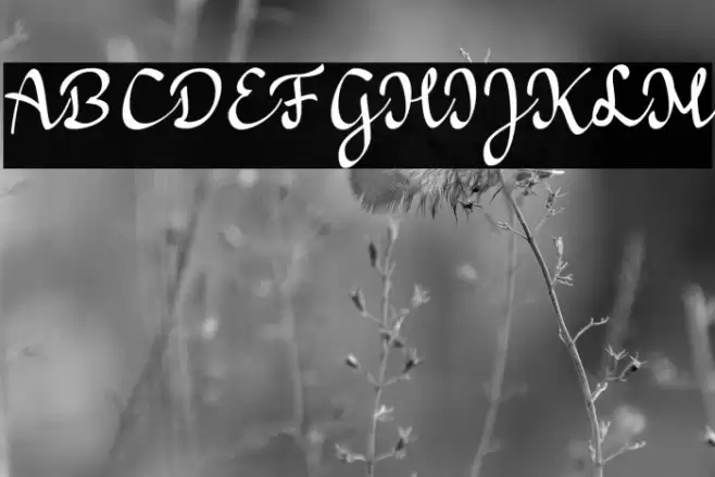 a Bators Growth Font examples