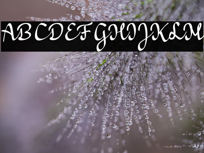 a Bators Growth Example 2