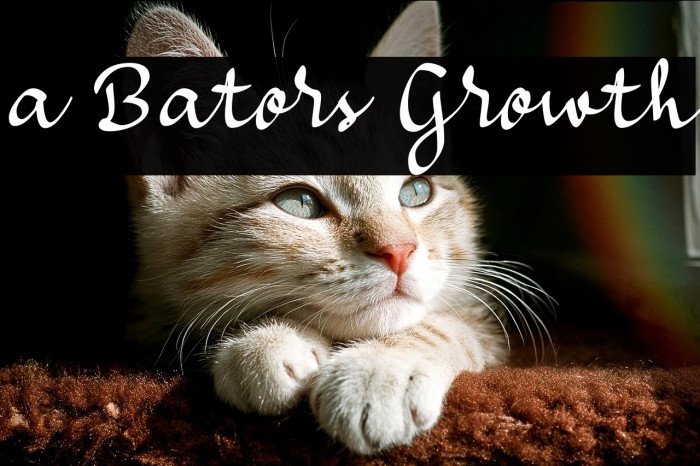 a Bators Growth Example 1