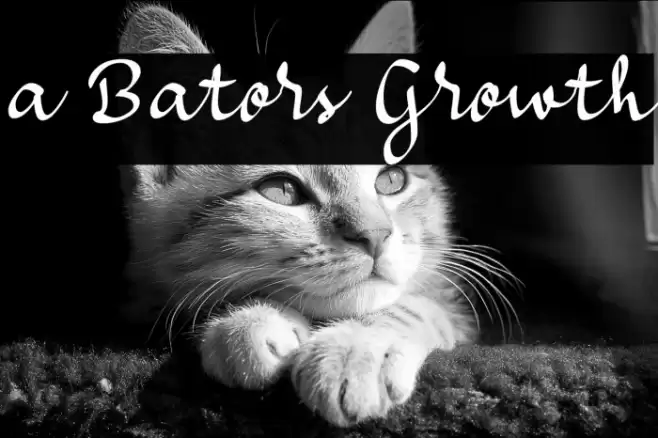 a Bators Growth Font examples