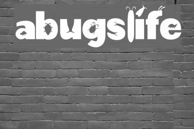 a-bug-s-life Font examples