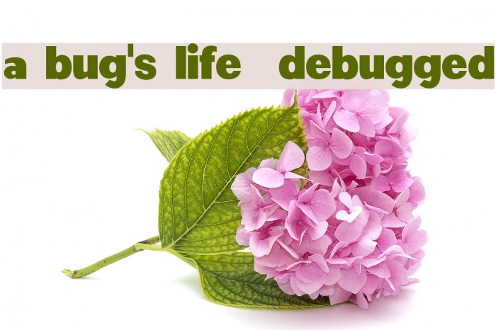 a bug's life - debugged Font examples