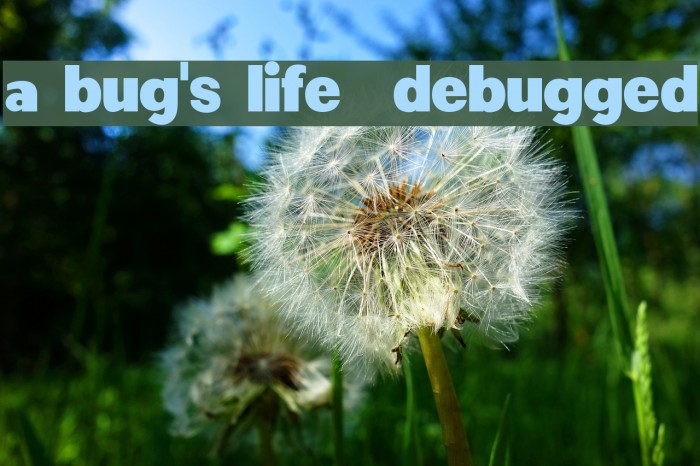 a bug's life - debugged Font examples