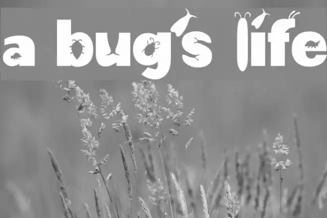 a bug's life Font examples