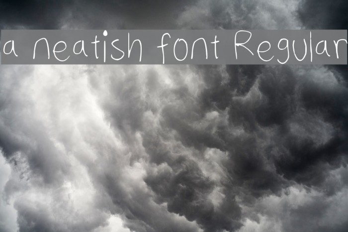 a neatish font Regular Font examples