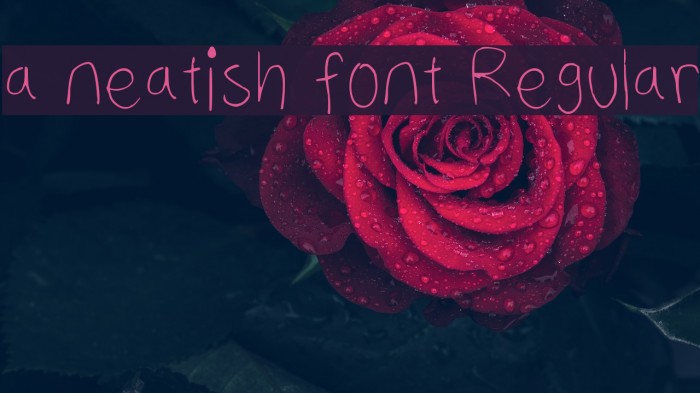 a neatish font Regular Font examples