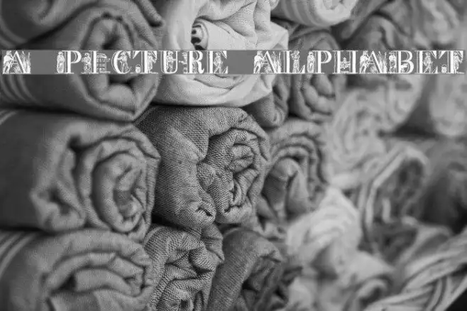 a picture alphabet Example 2