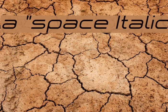 a `space Italic Font examples