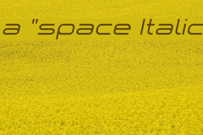 a `space Italic Font examples