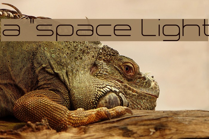 a `space Light Font examples