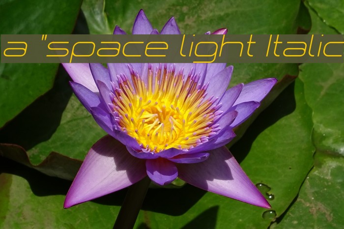 a `space light Italic Font examples
