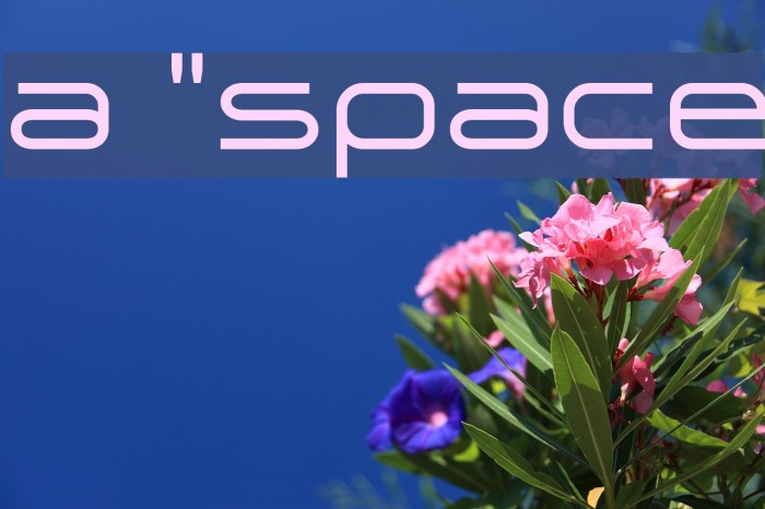 a `space Font examples