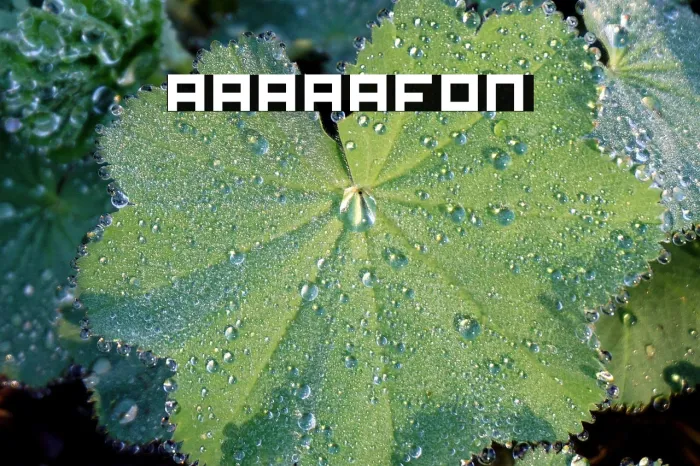 AAAAA Example 3