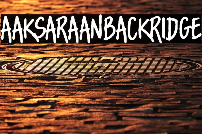 AAKSARAAN BLACK RIDGE Example 3