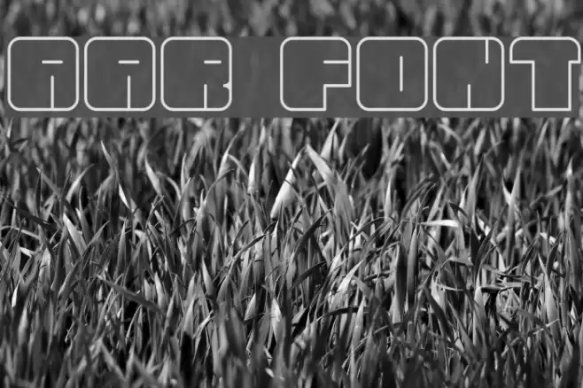 AAR Font examples