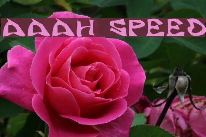 Aaah Speed Example 3