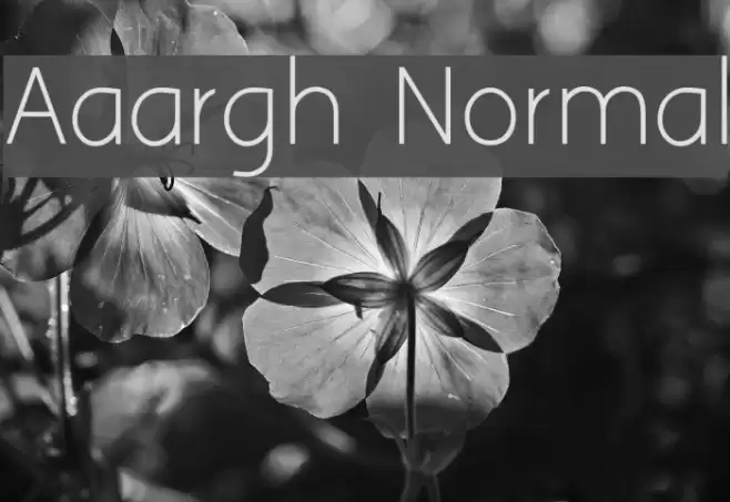 Aaargh Normal Шрифта examples