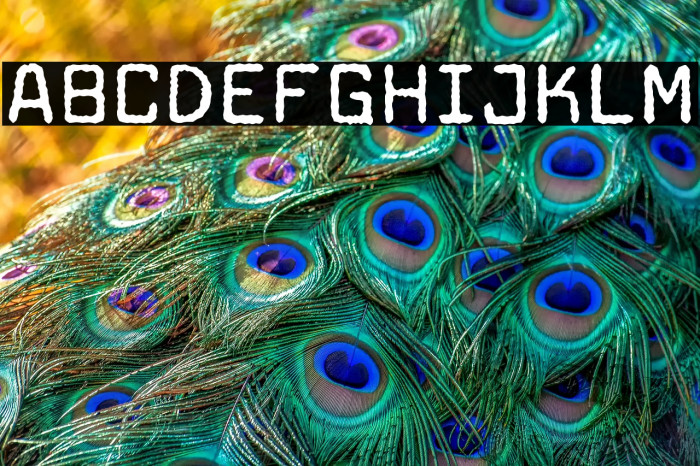 Aachen Typewriter Example 1