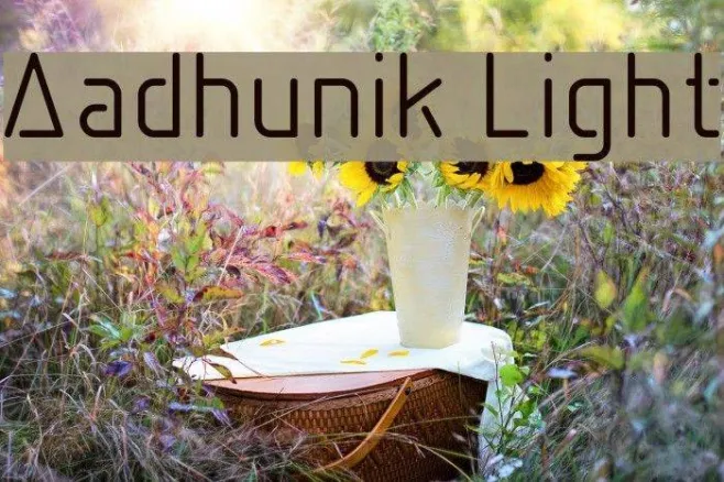 Aadhunik Light Example 2