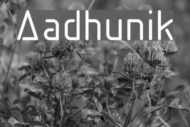 Aadhunik Font examples