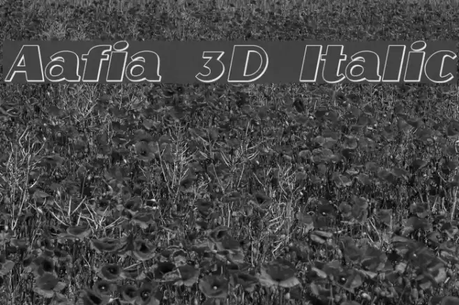 Aafia 3D Italic Polices examples
