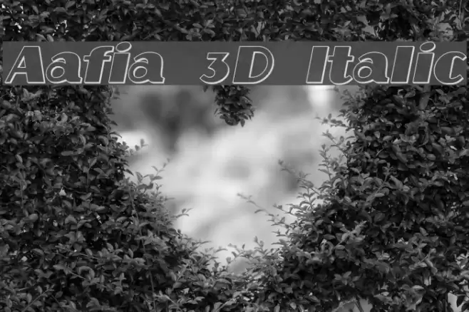 Aafia 3D Italic Polices examples