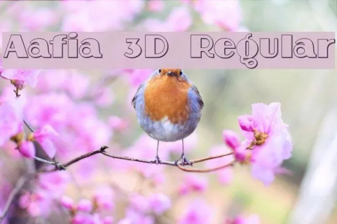 Aafia 3D Regular Example 1