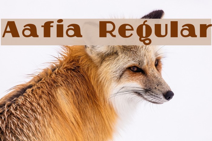 Aafia Regular Font examples