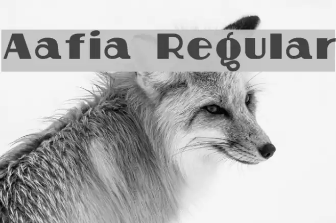 Aafia Regular Font examples